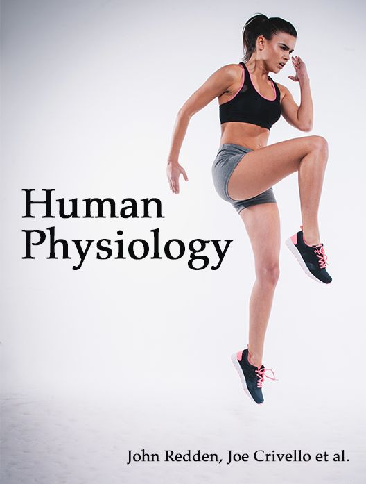 Human Physiology