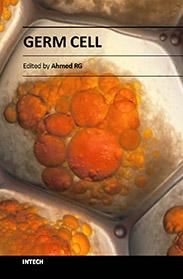 Germ Cell